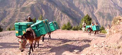 Gosport Rotary Shelter boxes in  Afghanistan